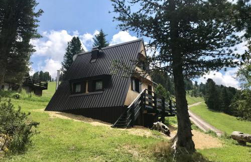 Chalet Paoletta - Alpe Cermis - Foto 3