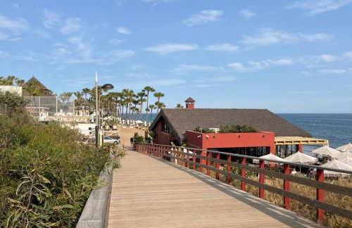 Estrelicia - Photo 48