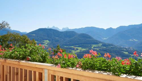 Rafaser - Apartment Albina - Foto 5