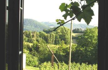 In der alten Weinstube - Photo 11