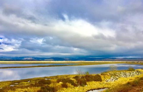 Cosy Karibu cottage with stunning canal views - Foto 21