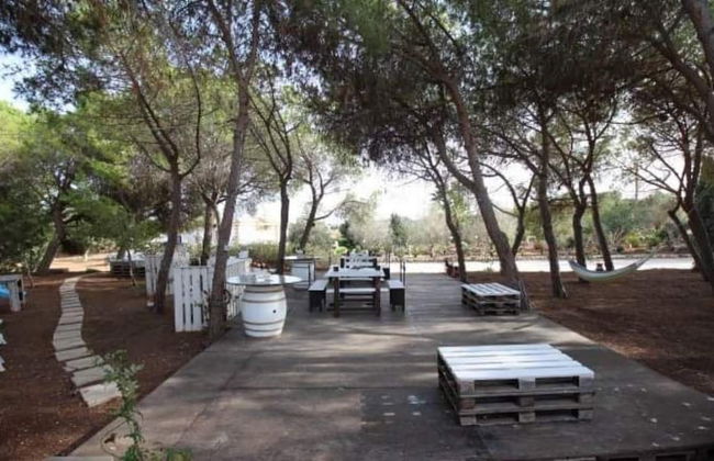 Two-room Apartment Conchetta In Relax - Air-conditioned - Wi-fi in Full Relaxati - Foto 11