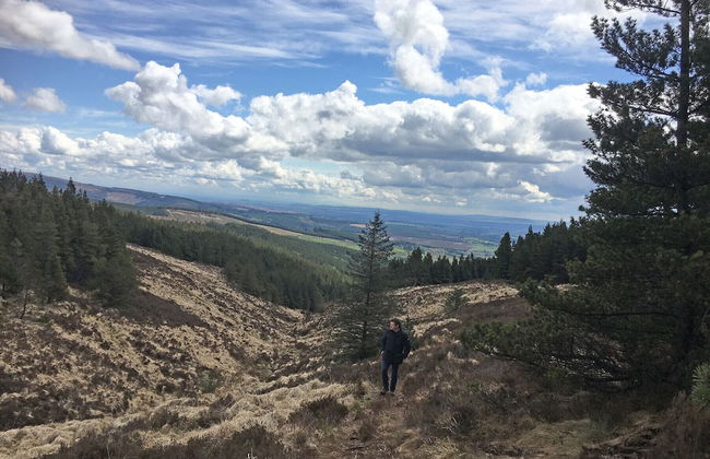 Primrose Cottage - Foto 15