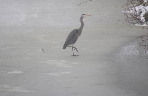 Bielenberg 37 - Foto 41