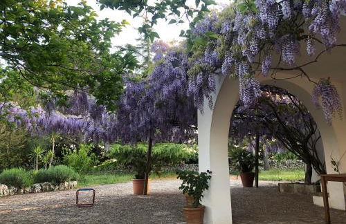 I PapaTrulli MiniResort - Foto 64