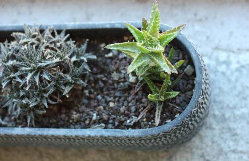 La Casa del Cantero - Foto 39