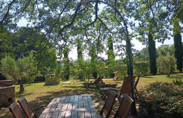 Agriturismo La Scarpaia - Foto 2