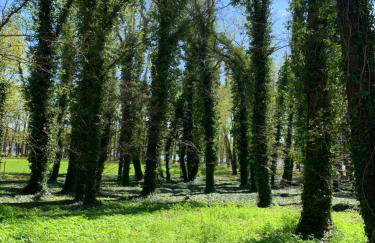 Przy Złotych Piaskach 1 - Foto 75