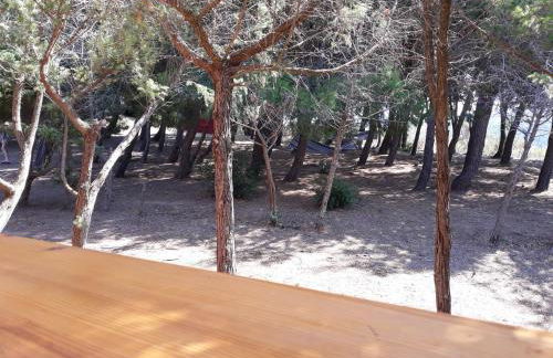 La Macciona - Photo 58