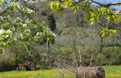 B&B I Montanari - Foto 52