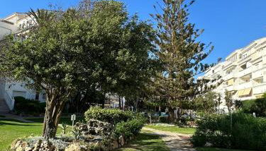 Playa Real - Photo 5