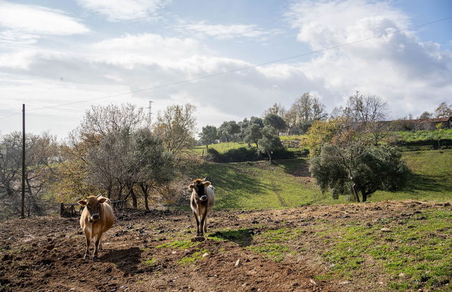 Agriturismo San Basilio - Foto 63