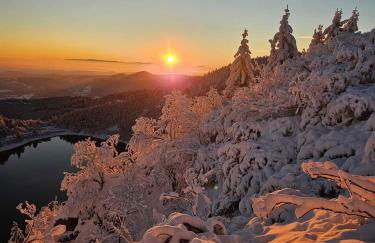 Vignes & Tropiques - Terrasse - Wifi - Clim - Parking - Photo 47