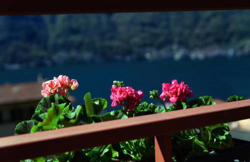 Le Vetrate sul Lago Lake Como Amazing View - Foto 70