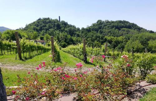 Ghisolana Agriturismo al Capitello - Foto 54