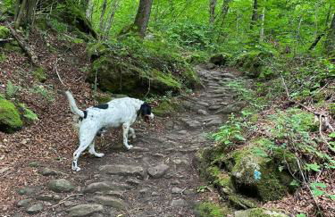 Casa Angiolino, angolo di pace vicino all'Orrido di Gea - Photo 13