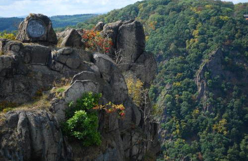 Schinkel Ferienunterkünfte Quedlinburg UNESCO Altstadt, Parkplatz inkl - Foto 32