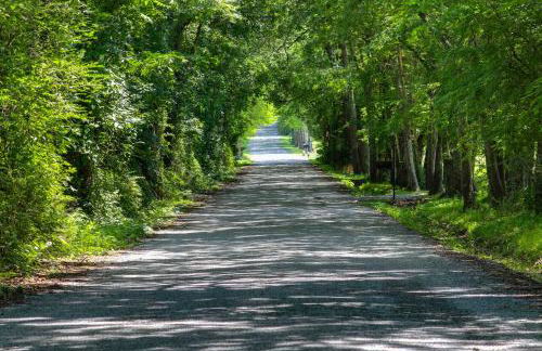 Whimsical Gatehouse at Dark Horse Estate - Foto 12