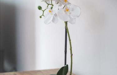 City Apartments Siegburg Studios - Foto 14