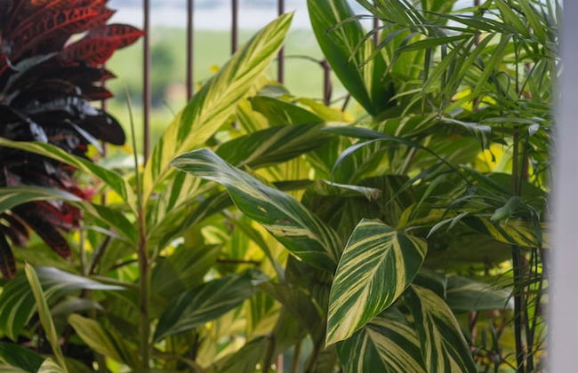 Hanoi Riverview Boutique Hotel & Apartment - Foto 60