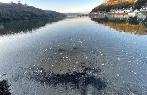 The Hut@Trefechan Wen - Coastal Coziness! - Photo 64