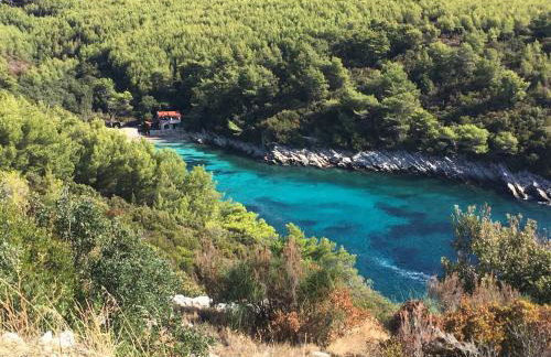 Meerblick mit Traumterrasse - Foto 35