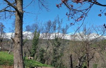 Los Prejones - Photo 44