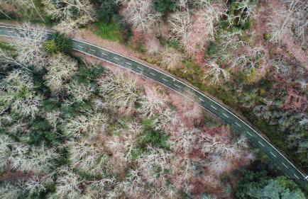 Quinta do Caritel - Foto 55