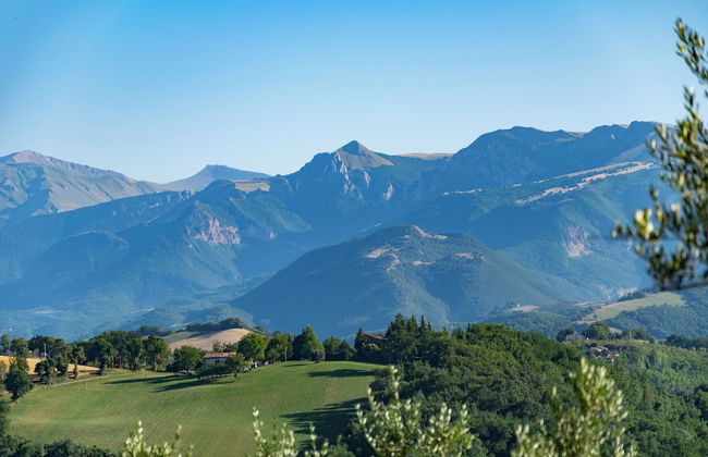 Agriturismo Al Respiro Nel Bosco - Foto 27