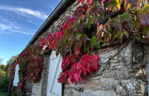 Proche de la mer gite chez hippolyte - Foto 11