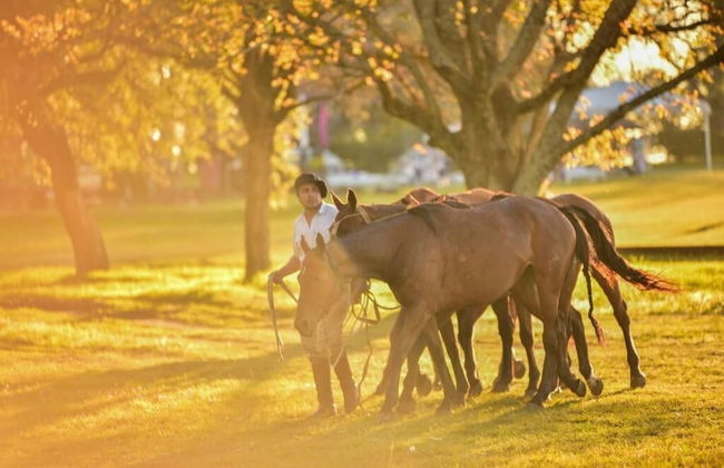 Estancia La Violeta - Foto 52