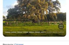 LA CASITA DE BAUTISTA 2 llaves montanchez -caceres - Foto 21