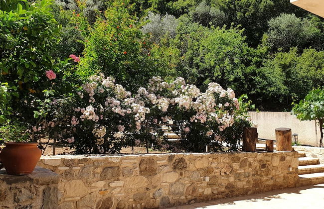 Chaihoutes stone villa into Olive farm in Zia - Foto 15
