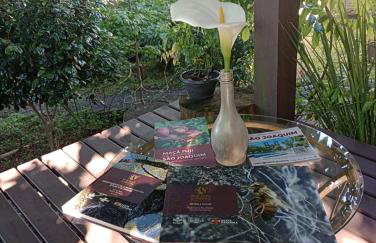 Quintal das Araucárias hospedagem - Foto 51