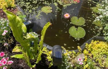 3 Bedroom Bungalow with great Sea Views, Private Hot Tub & Gardens - Foto 36