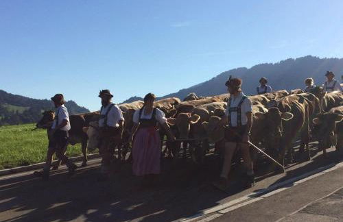 Ferienwohnung mit Aussicht im Bergdorf Steibis im Allgäu - Foto 36