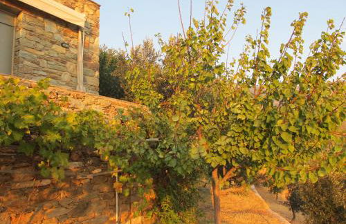 Balkonikarystos (To Mpalkoni tis Karistou) - Foto 16