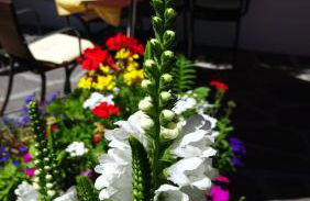 Residence Perwanger - Foto 26