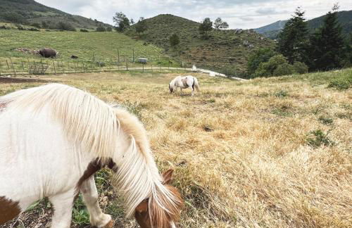 Apartamentos Turísticos Real Valle Ezcaray - Foto 117