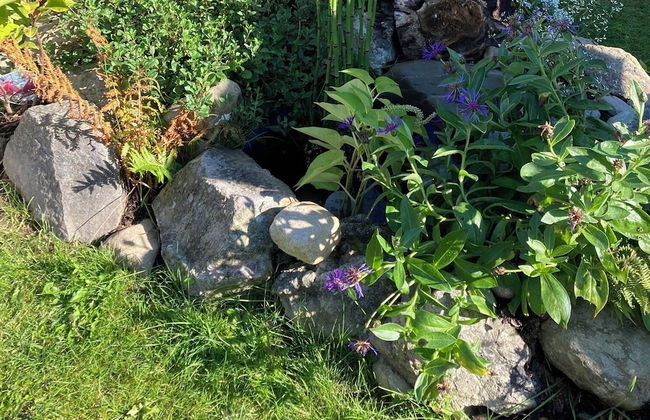 2bed Cabin w/ Parking Near Snowdonia National Park - Photo 24