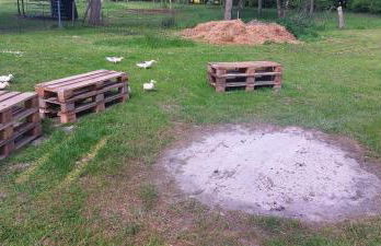 Der Märchenhof Dithmarschen - Photo 26