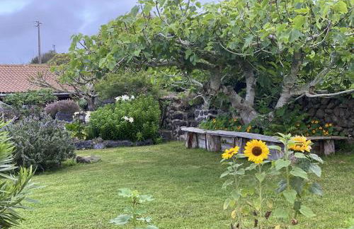 Quinta Perpetua, Casa Corvo - Foto 26