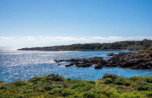 Finca Es Carregador - Photo 29