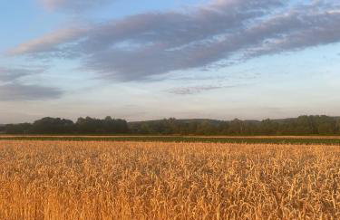 Ferienwohnung Hella - Foto 91