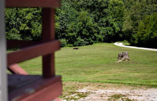 The Cottage on Abbey- Relaxing Summer Getaway in Harrison - Foto 6