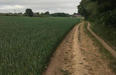 Pinewood #Edwinstowe - Foto 8