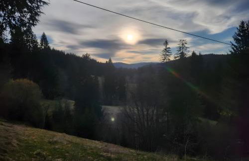 Alte Schmiede 2 Fewos - Foto 13