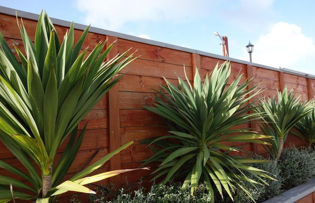 Parakai Springs Lodge - Foto 30