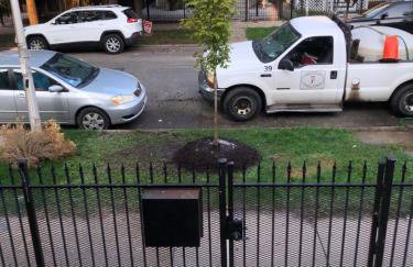 Logan Square Modern Apartment - Foto 18