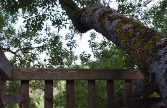 Cabane Perchée avec Jacuzzi, au Coeur du Luberon - Foto 13